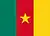 Bandera - Camerún
